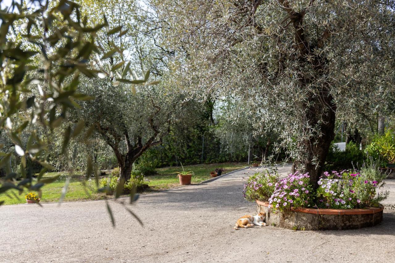 La Tana Delle Stelle B&B Di Charme E Relax Fara in Sabina Eksteriør bilde