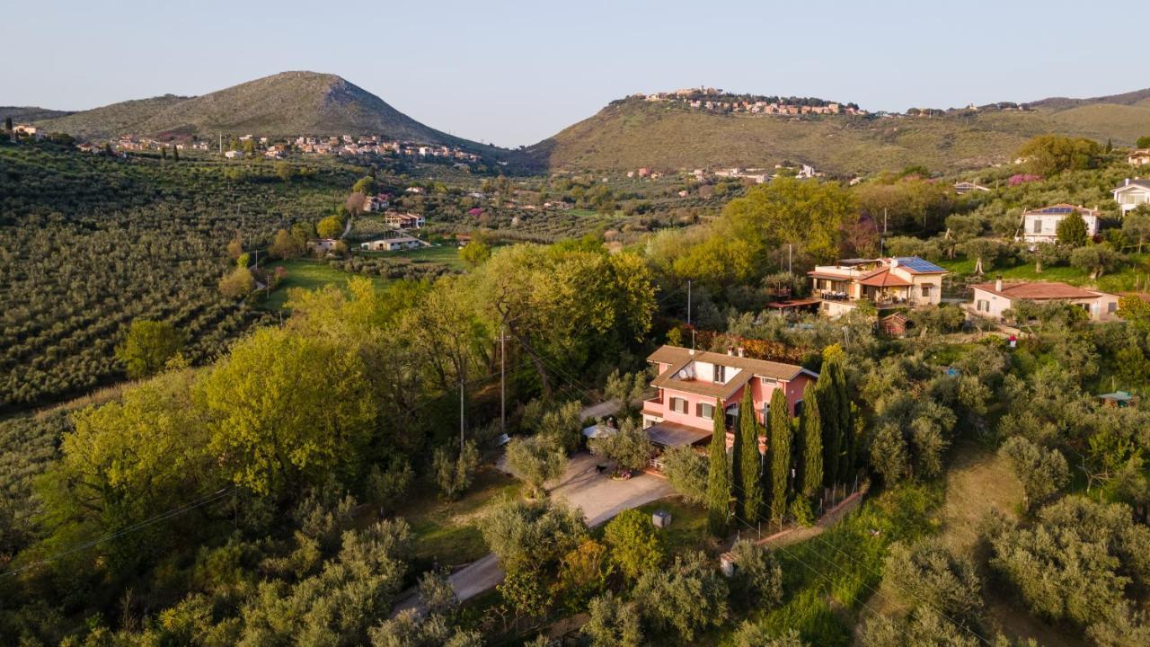 La Tana Delle Stelle B&B Di Charme E Relax Fara in Sabina Eksteriør bilde