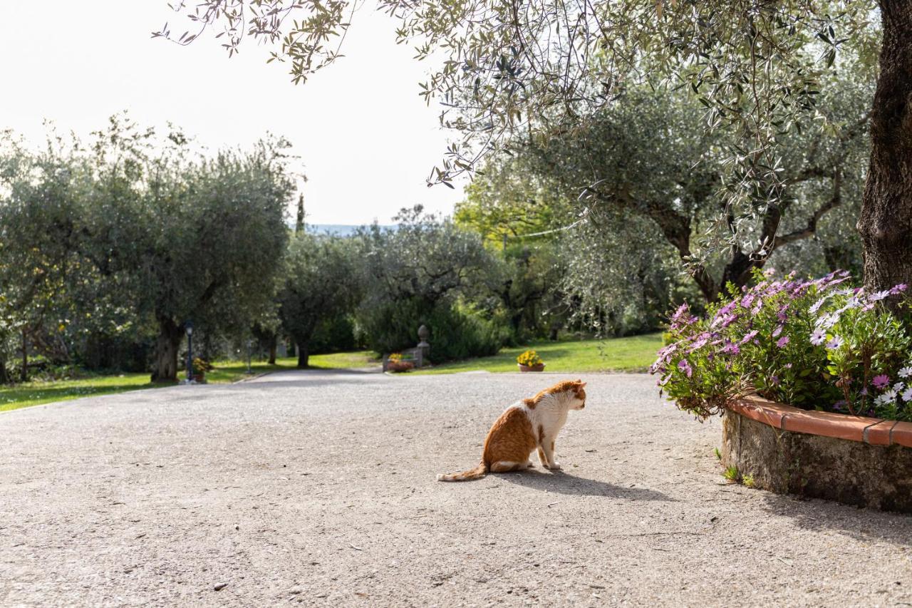 La Tana Delle Stelle B&B Di Charme E Relax Fara in Sabina Eksteriør bilde